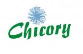 Překladatelská agentura Chicory s.r.o. Brno-střed